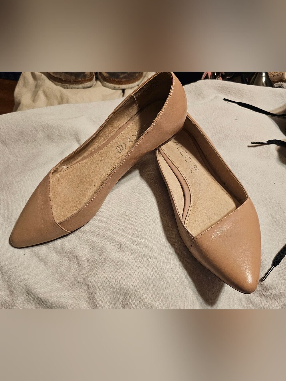 Aldo Nude/Tan Pointed Toe Flats